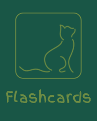 Flashcards