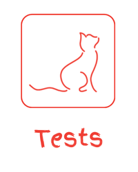 Tests