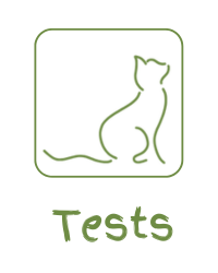 Tests