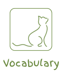 Vocabulary